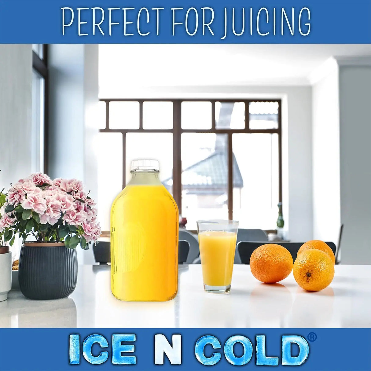 Glass Beverage Jug, 64 oz, Clear, Wide Mouth with Groove Handle and Airtight Lid ICE N COLD®