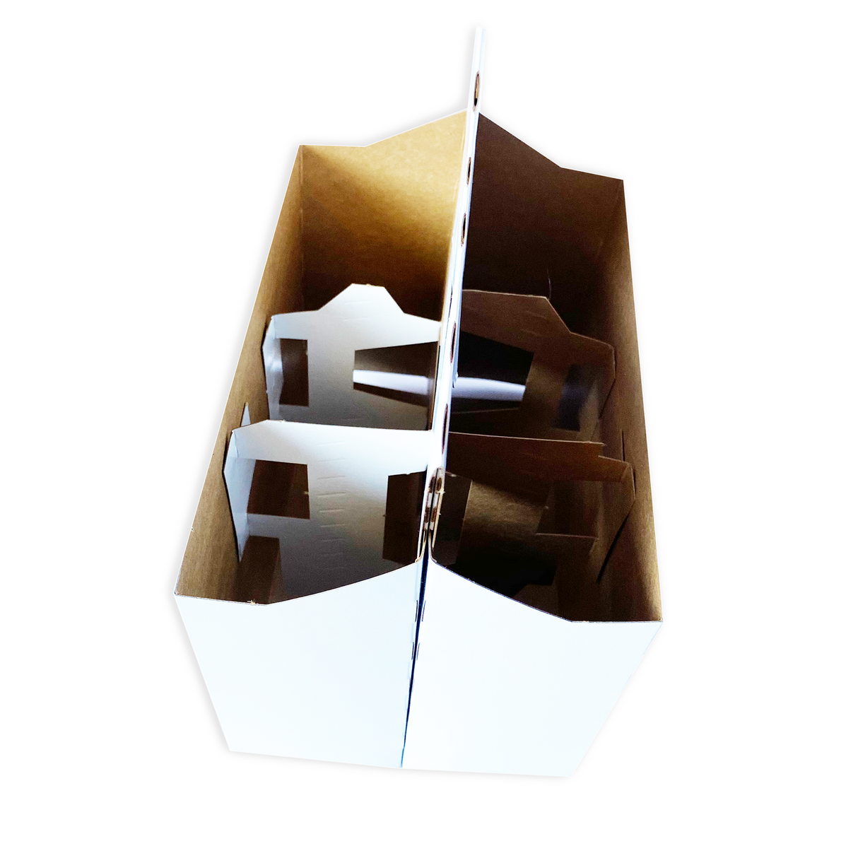 Ice N Cold Econo Pack Cardboard Carriers
