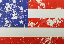 Load image into Gallery viewer, C-Store Packaging - American Flag Cardboard Carrier