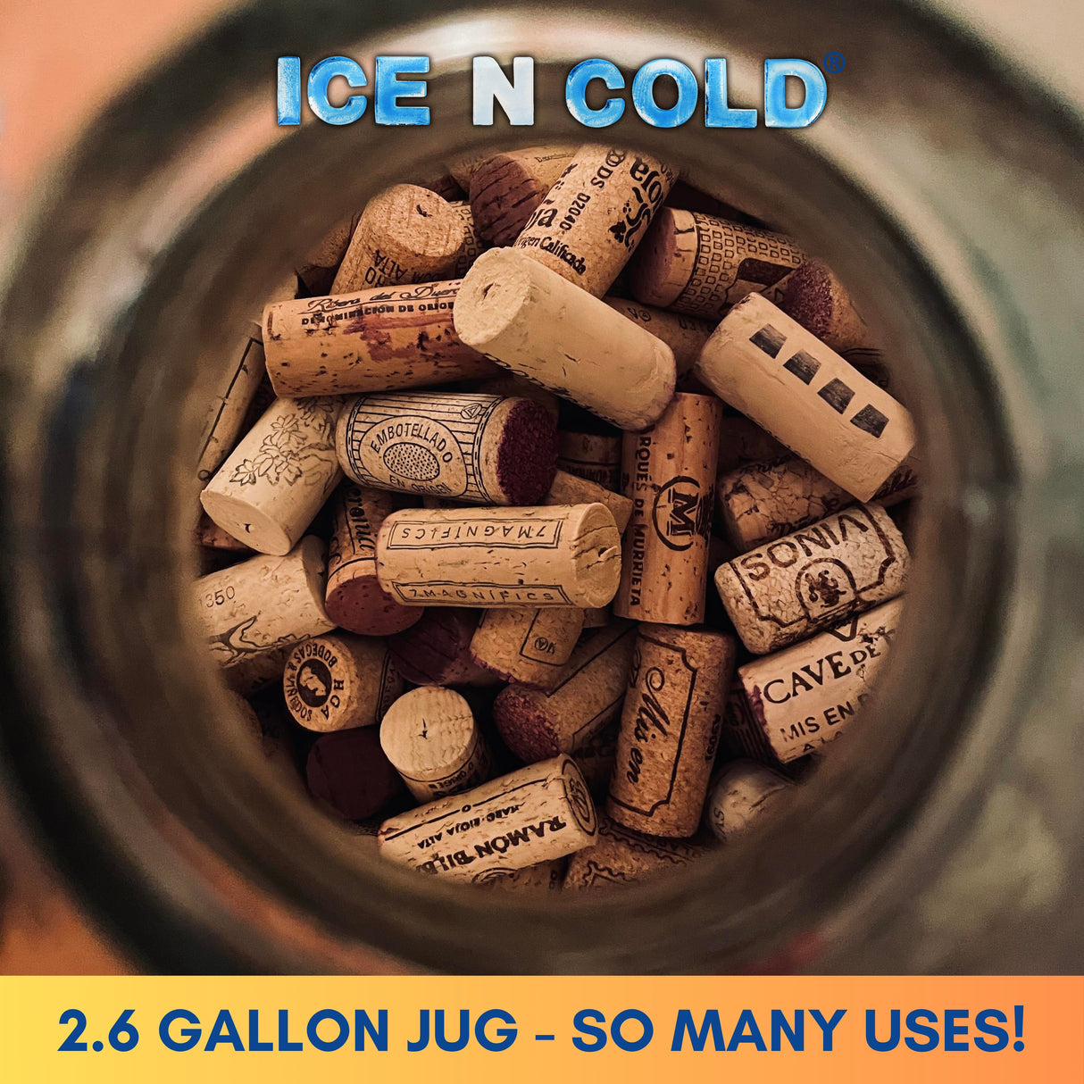 Aguas Frescas 2.6 Gallon Glass Juice Jug Container with Lid (10 Liters, 338 oz) | ICE N COLD
