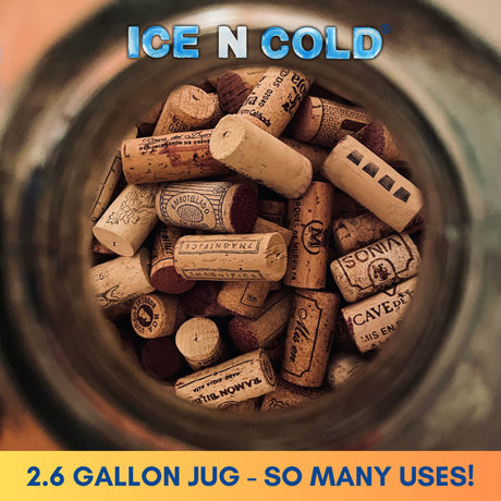 Aguas Frescas 2.6 Gallon Glass Juice Jug Container with Lid (10 Liters, 338 oz) | ICE N COLD
