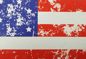 C-Store Packaging - American Flag Cardboard  Carrier